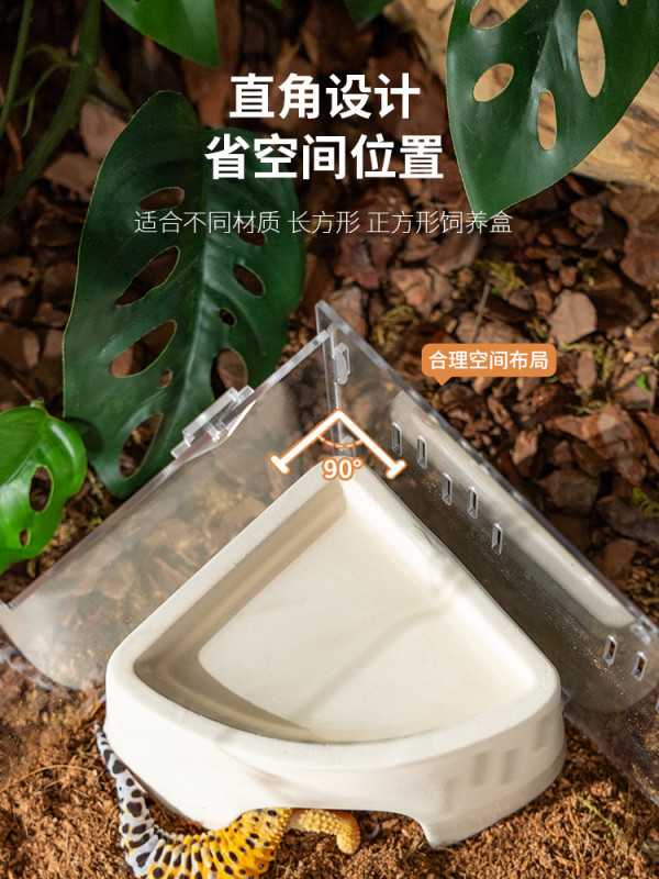 도마뱀 습식 은신처 파충류 사육장 집꾸미기 - 상세 이미지 4