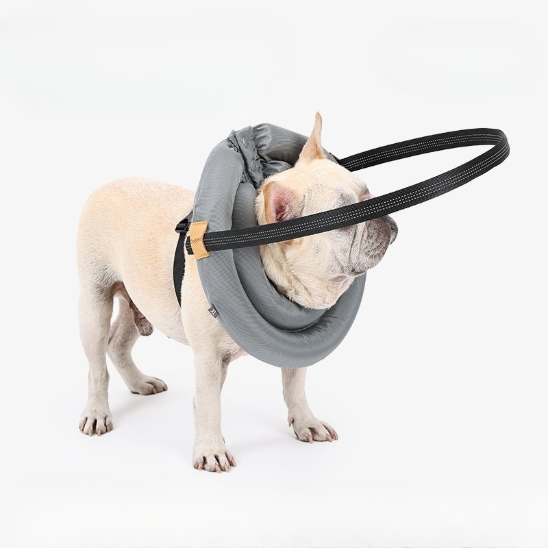 강아지엔젤링 반려동물 시각장애 노령견 패딩 경량 야간반사  회색 XS(목둘레14-22cm) - 상세 이미지 2
