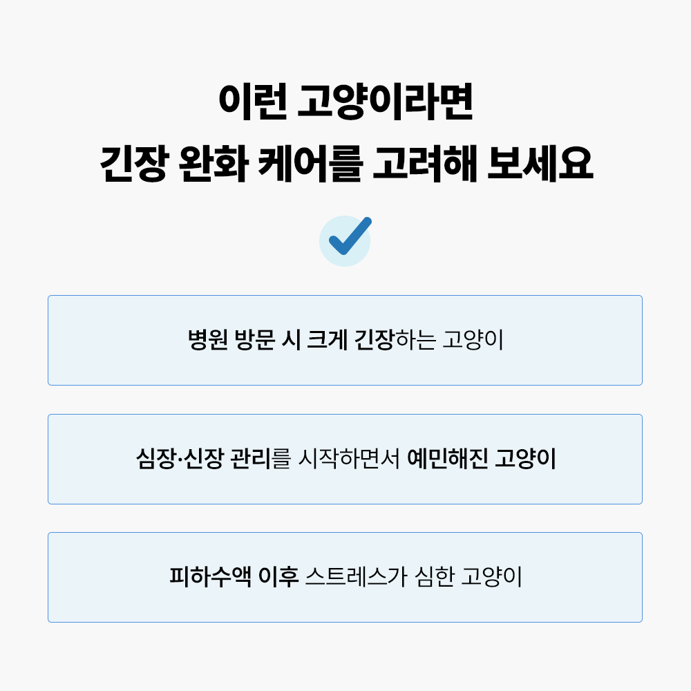 야옹섬 고양이 영양제 심장 신장 그레이코트캄 HCM 신부전 관리 2개월 60캡슐, 1개 이미지 3