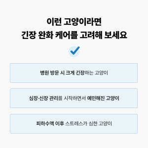야옹섬 고양이 영양제 심장 신장 그레이코트캄 HCM 신부전 관리 2개월 ... 솔직 후기 | 실제 사용자 리뷰 총정리 - 상품 이미지 3