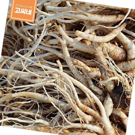 도라지 고씨네 건도라지 백도라지 나물 나물도라지2kg