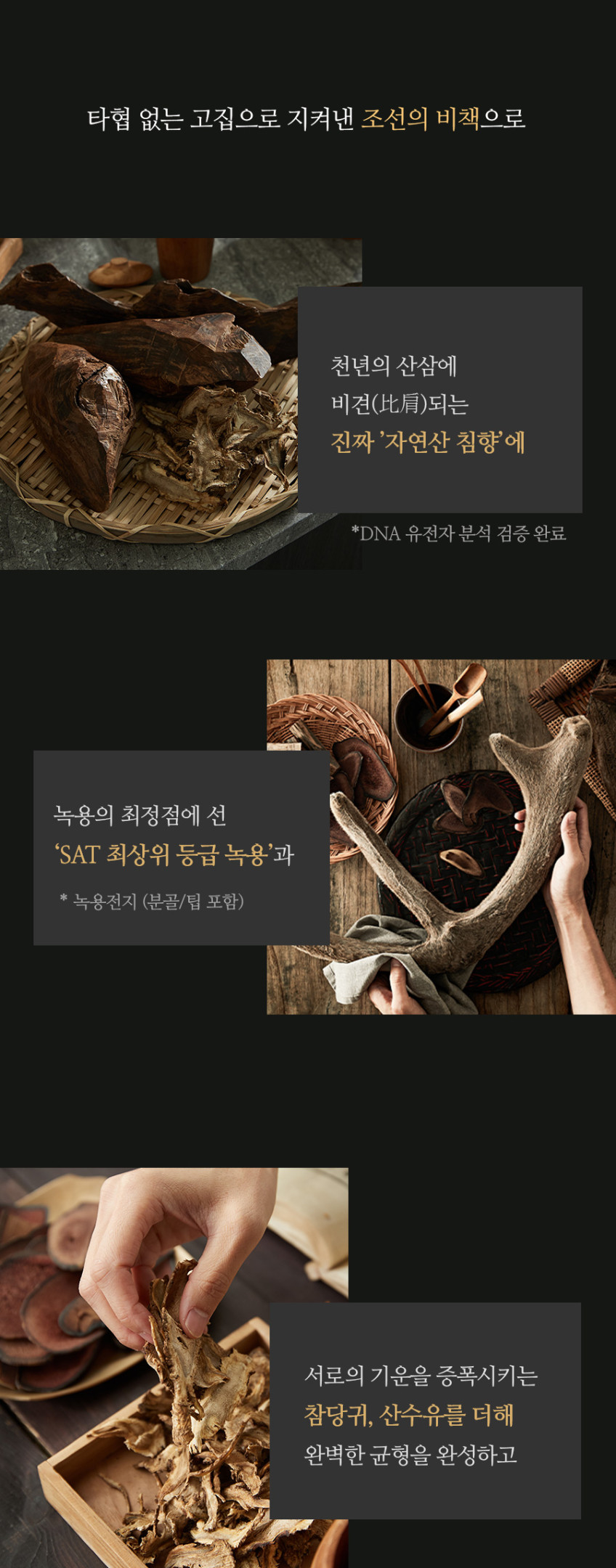 조선비책 침향환 초고함량 발효 침향 효능 침향단 체내흡수2.5배 침향원 1박스60환 판매처 상세 정보 이미지 3