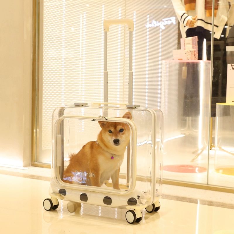 투명 여행용 고양이 강아지 캐리어 휴대용 손잡이 가방 대형 피치핑크 + 원형문 50 28x45cm 고양이 소형견 - 상세 이미지 3