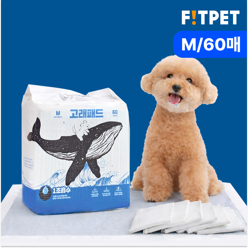 강아지 두꺼운 배변패드 반려견 고래패드 오리지널 고흡수 냄새잡는 대용량 중형, 60매입, 1개