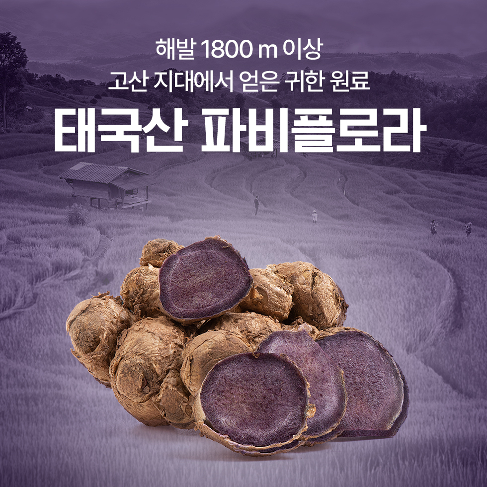 저당 파비플로라 동국제약 마이핏 알파CD