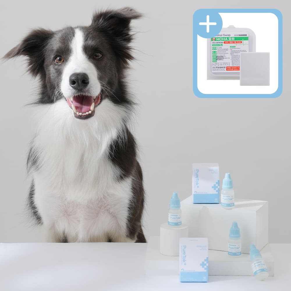 퓨어톡 강아지 고양이 인공 눈물 눈세정제 눈꼽 안구건조증 눈병 일회용 20ml, 1개 제품 이미지