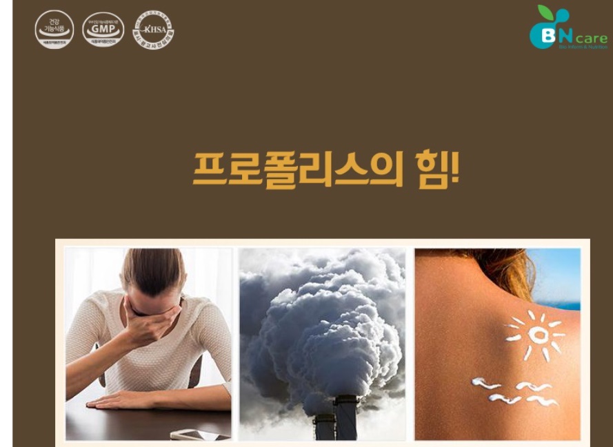 비엔케어 비하이 프로폴리스 60g 1개 파격선물 이미지 4