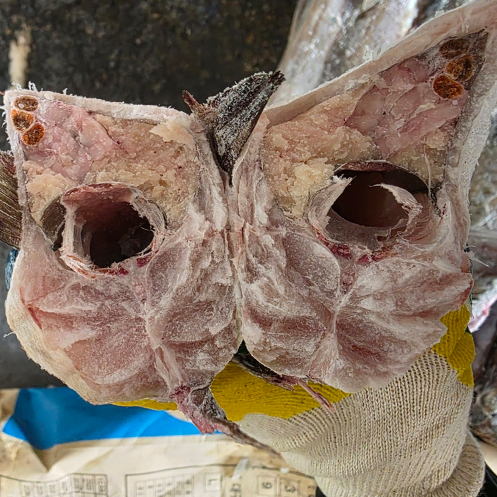 냉동 명태 동태 5통 6통 7통 8통 21.5kg 업소용 수입산 대용량 벌크 이미지 8
