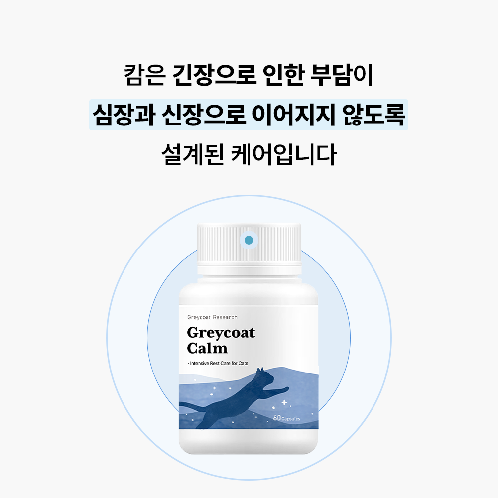 야옹섬 고양이 영양제 심장 신장 그레이코트캄 HCM 신부전 관리 2개월 60캡슐, 1개 이미지 2