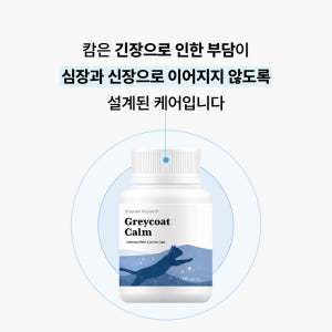 야옹섬 고양이 영양제 심장 신장 그레이코트캄 HCM 신부전 관리 2개월 ... 솔직 후기 | 실제 사용자 리뷰 총정리 - 상품 이미지 2