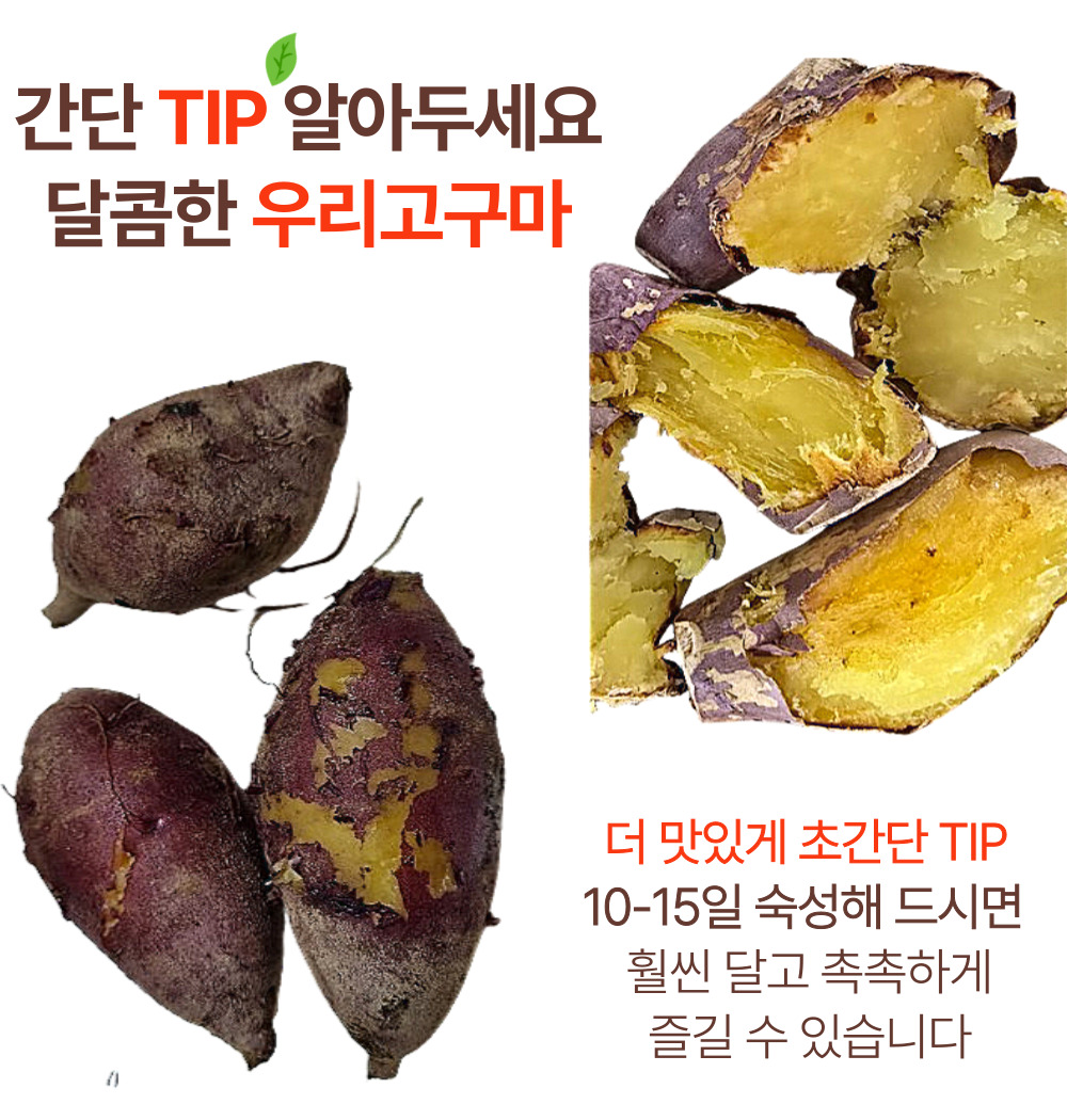 풍원미 식사대용 꿀고구마 고당도 호풍미 호밤고구마 꿀호박 다이어트 - 상세 이미지 4