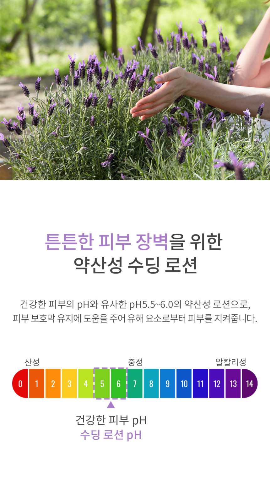 2_07.jpg (860×1573)