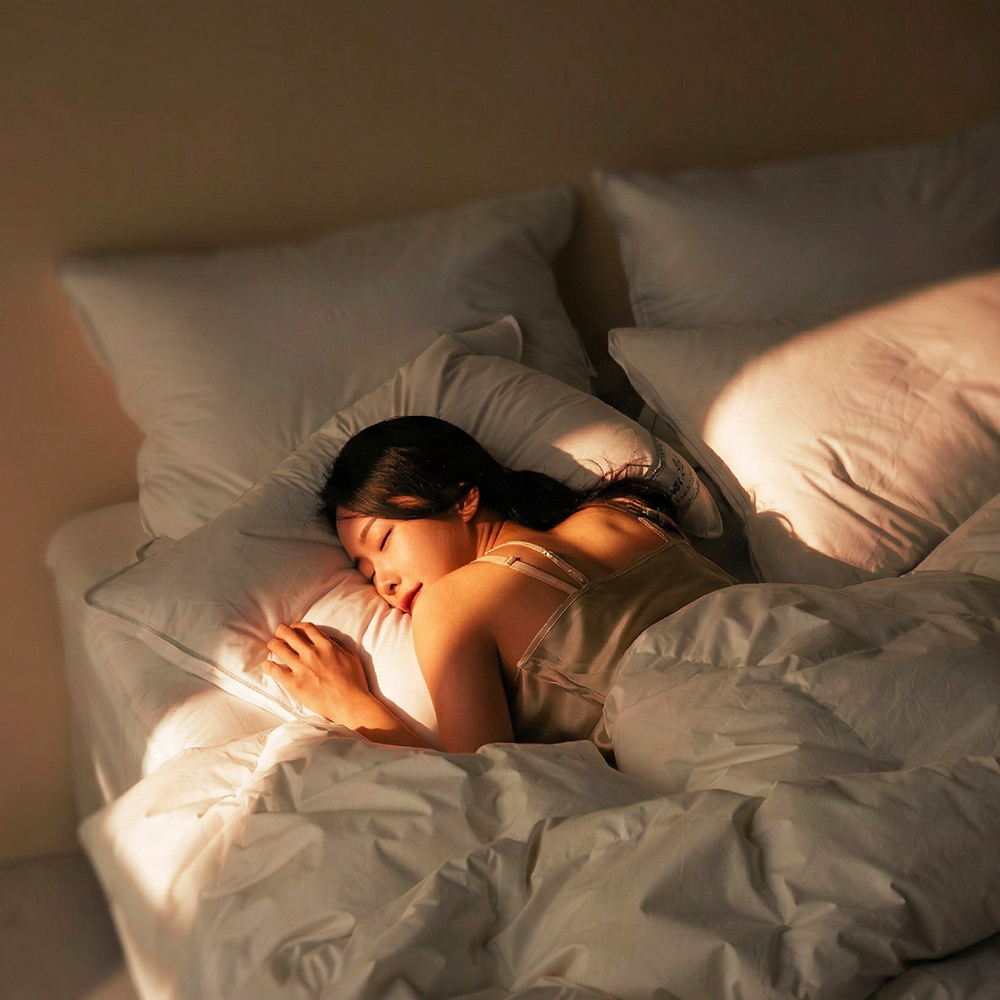 클래식패브릭 안티더스트 알러지케어 호텔식 이불세트 신혼 겨울 사계절 SS