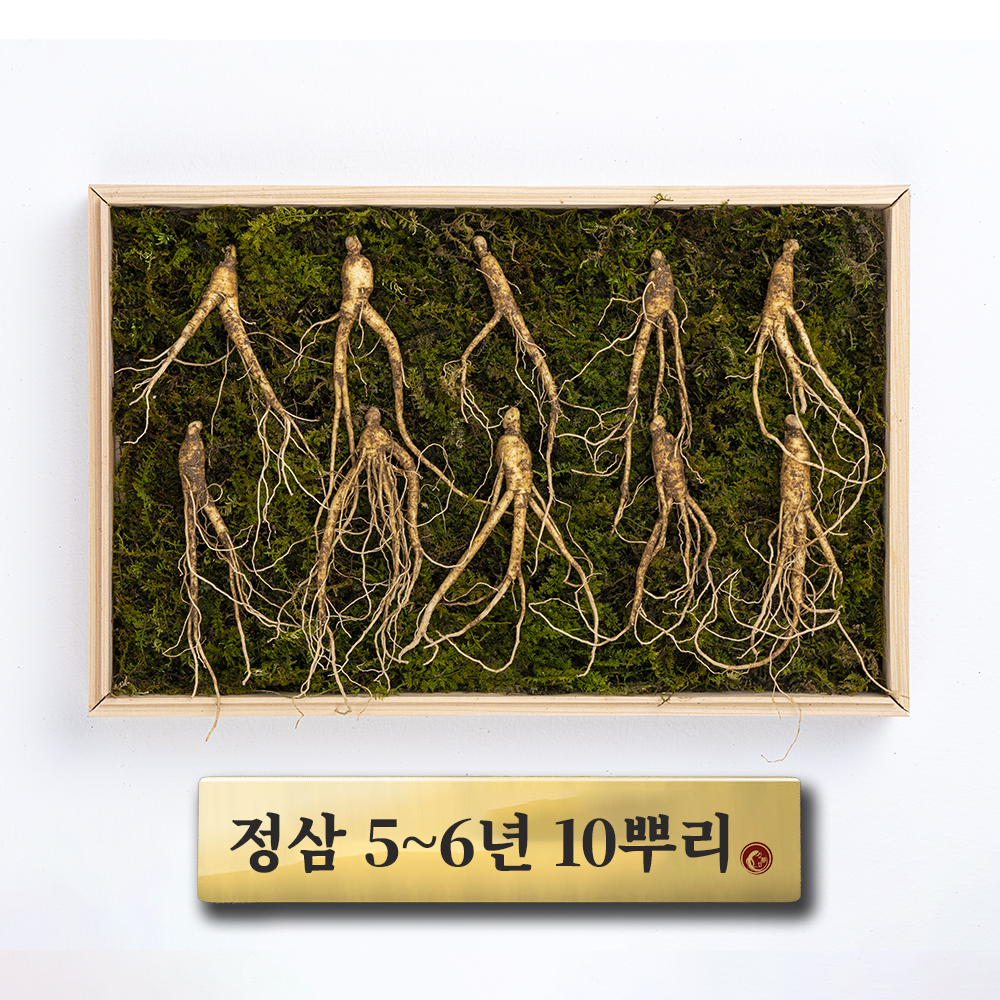 (정삼) 5-6년근 10뿌리 - 상품 이미지