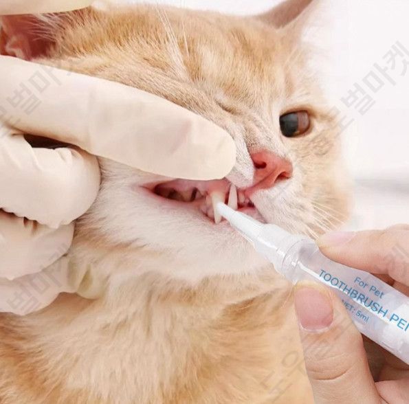 강아지치석제거기 스케일링기계 저소음 노령견 입냄새제거 - 상품 이미지