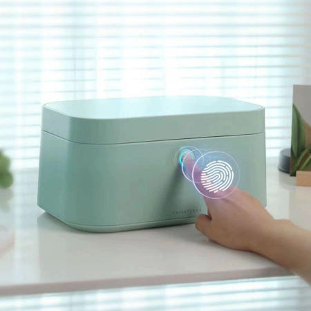 [굿어스컴퍼니협력사][해외]미니 금고 현금 보관함 소형 지문인식 주얼리 개인 입문용에디션-초여름민트-베이스플리스없음