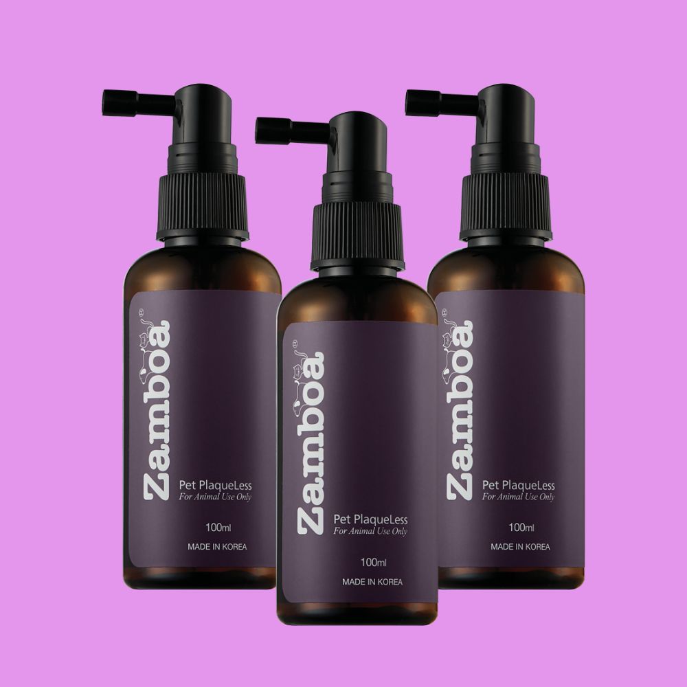 잠보아 강아지 구강 스프레이 데일리 입냄새 덴탈 케어 플라그리스 3개 솔직 후기 | 실제 사용자 리뷰 총정리 - 대표 이미지