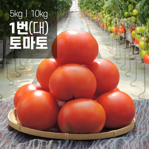 착한토마토 1번 5kg, 1개 - 상품 이미지