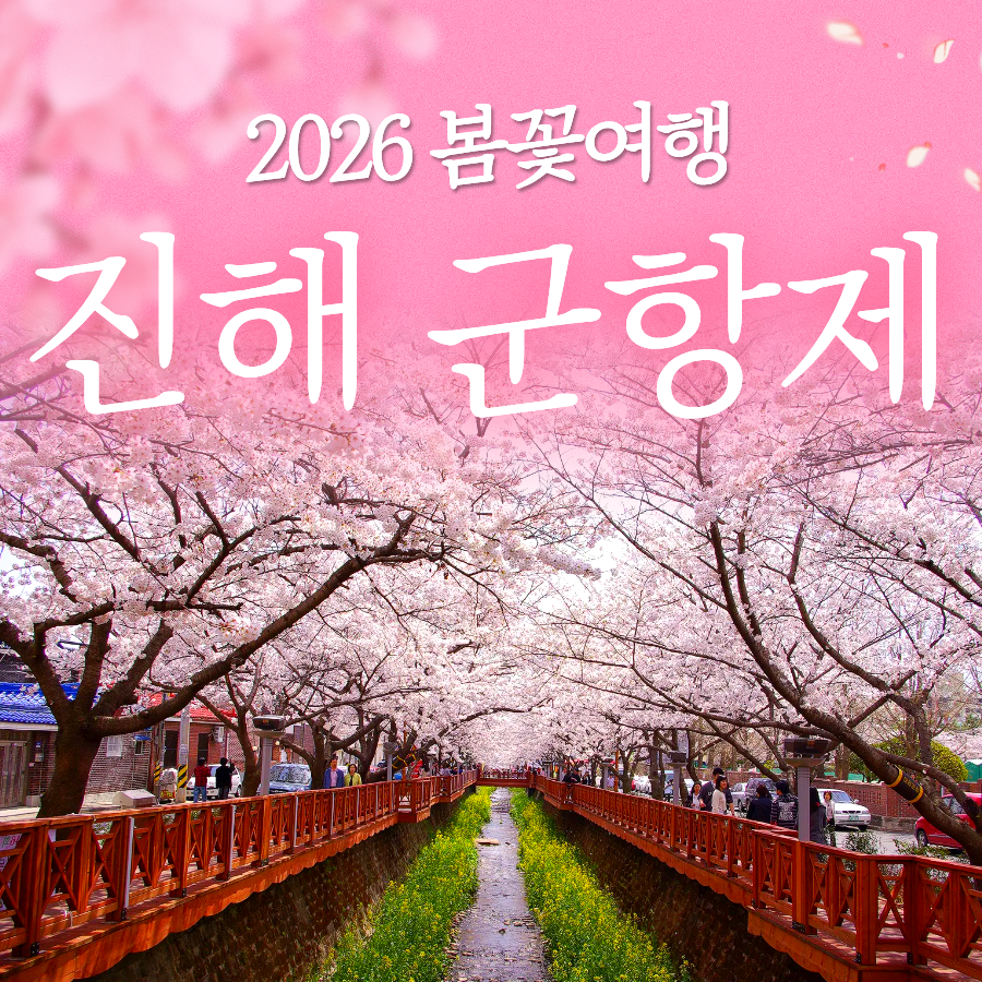 KTX 2026 진해 군항제 벚꽃 축제 당일 국내 봄 코레일 기차여행 여좌천 해군사관학교 제품 이미지