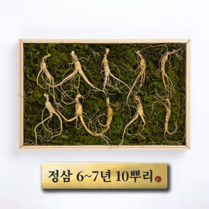 (정삼) 6-7년근 10뿌리 맛있게 먹은 솔직 후기 - 상품 이미지 1