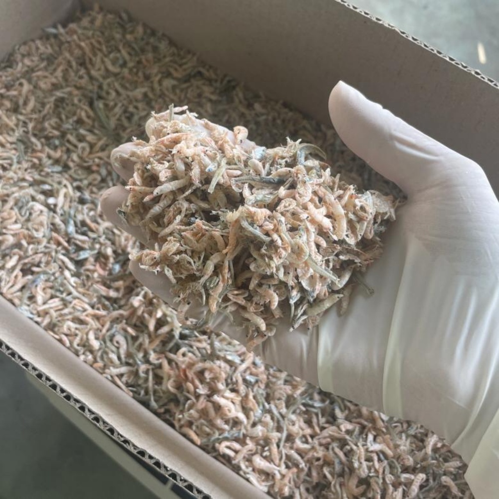 지리멸치 밥새우 지리멸 볶음 멸치 잔멸치 볶음용 세멸 새우 1.5kg 1박스 - 상품 이미지