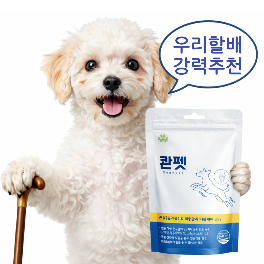 콴펫 강아지 관절 종합 영양제 슬개골 탈구 다이어트 유산균 마움바이오 60정, 1개 이미지 2