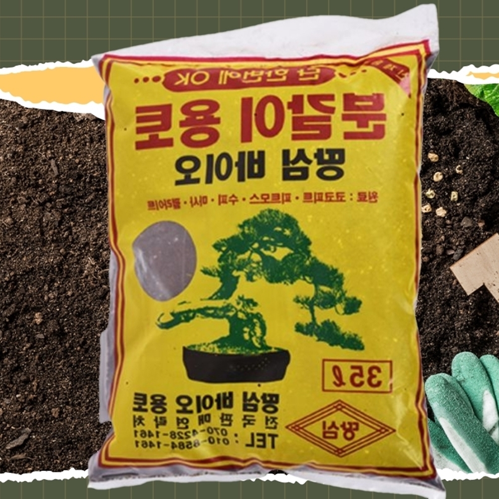 분갈이 몬스테라 다육이 마사 배양 토 흙 - 상품 이미지