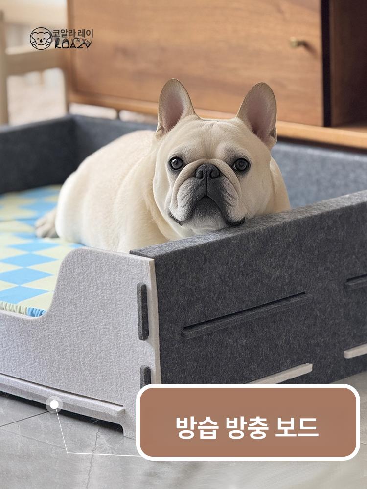 강아지 플렛폼 훈련용 발판 체력 강화 균형 감각 휴대용 윌로우그레이 XS - 상세 이미지 2