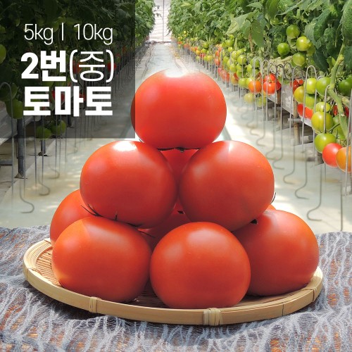 착한토마토 2번 5kg, 1개 - 상품 이미지