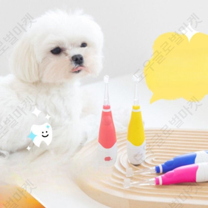 강아지전동칫솔 초소형견 노령견 고양이 스케일링 치석제거 - 상세 이미지 2