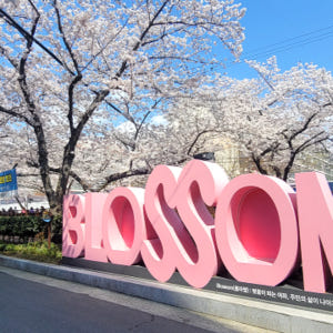 KTX 봄꽃 진해 군항제&부산 시티투어 1박2일 기차여행 (국내 봄여행 ... 솔직 후기 | 실사용자 리뷰 분석 - 상품 이미지 3