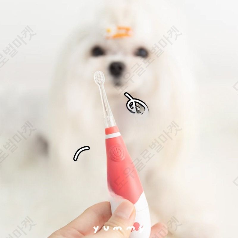 강아지전동칫솔 초소형견 노령견 고양이 스케일링 치석제거 - 상품 이미지
