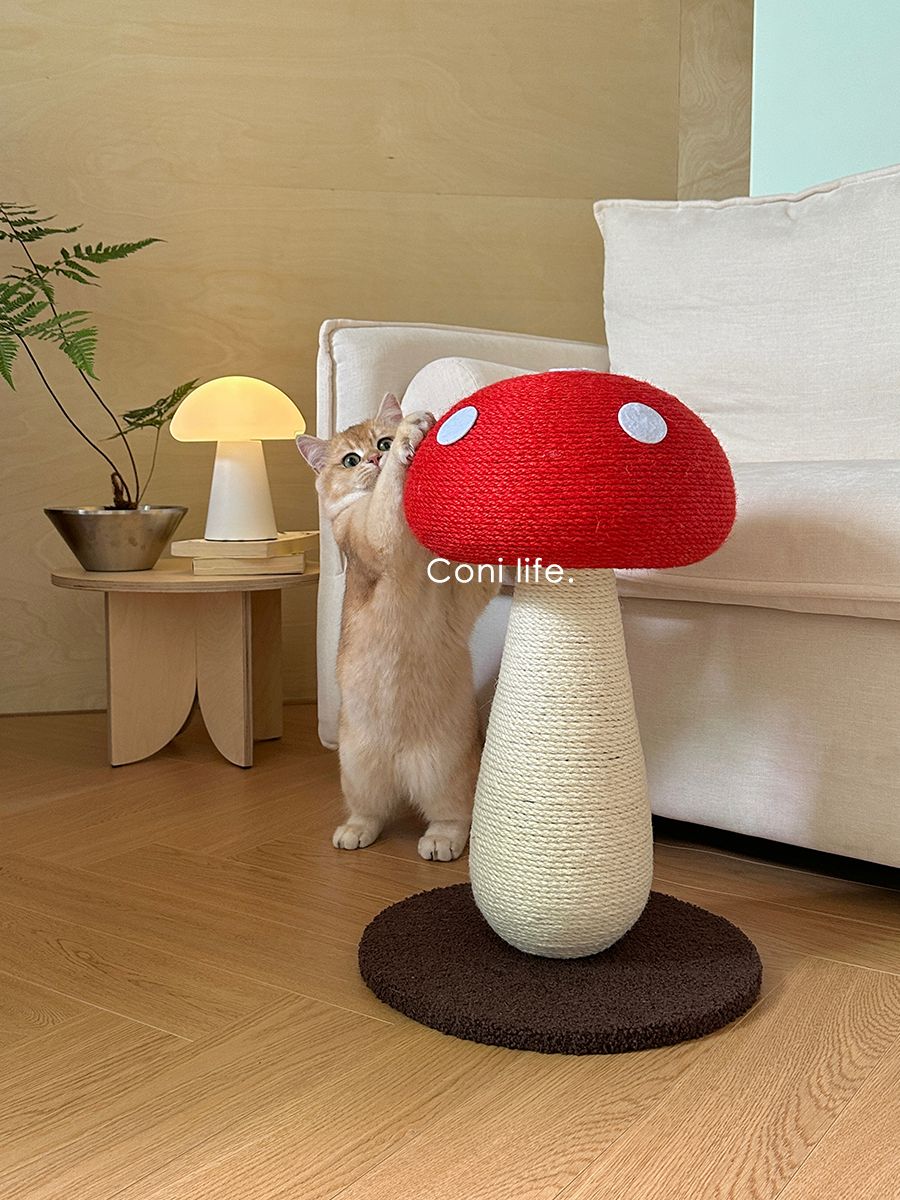고양이 스크래쳐 세트 놀이 버섯모양 장난감 고양이놀이터 레드머쉬룸 하이 50 x 35cm - 상세 이미지 3