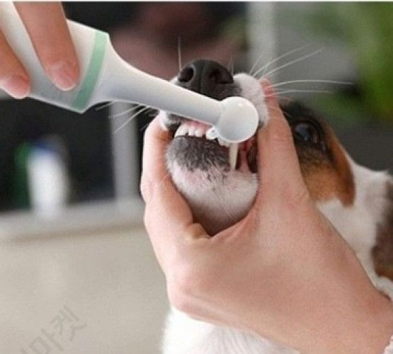 강아지치석제거기 스케일링기계 저소음 노령견 입냄새제거 - 상세 이미지 3