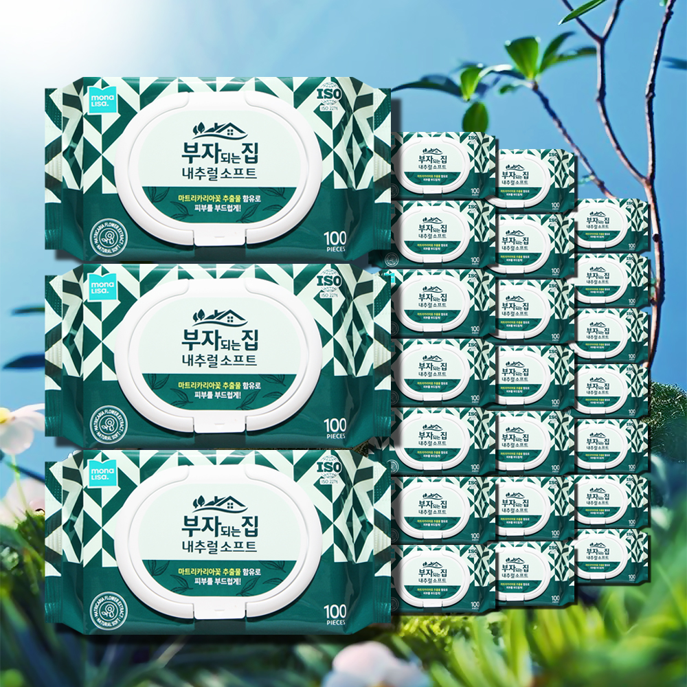 모나리자 부자되는집 내추럴 소프트 물티슈 캡형 100매 24팩
