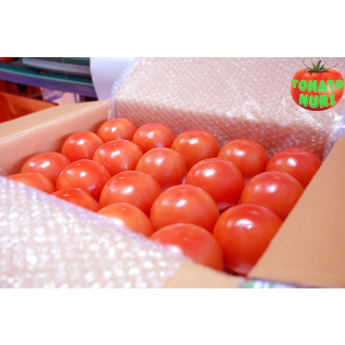 착한토마토 3번 5kg, 1개 - 상세 이미지 3