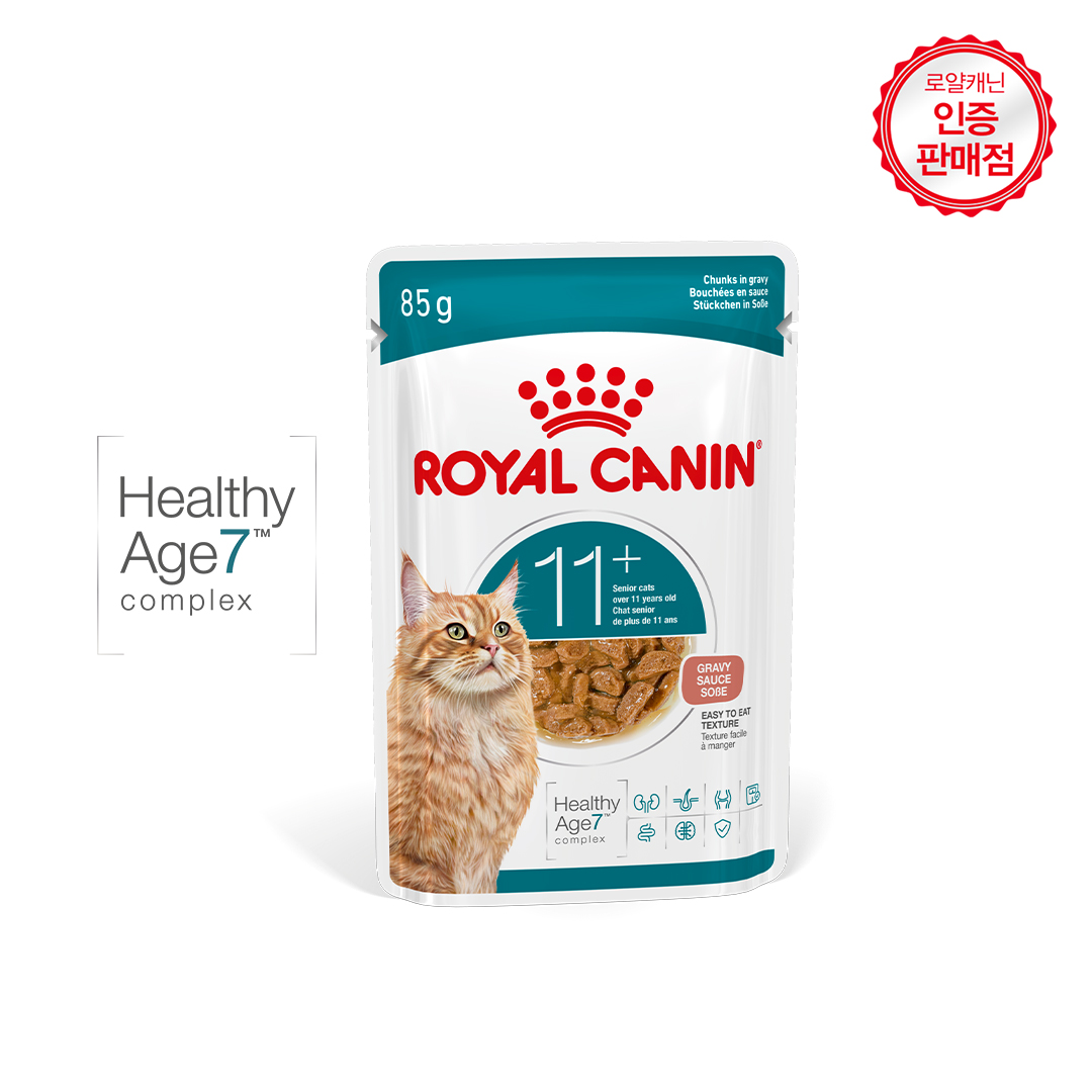 로얄캐닌 캣 에이징 11+ 그레이비, 85g, 12개 - 상세 이미지 2