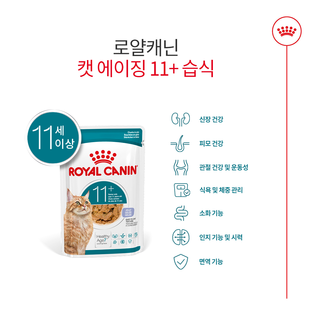 로얄캐닌 캣 에이징 11+ 젤리, 85g, 12개 - 상세 이미지 3