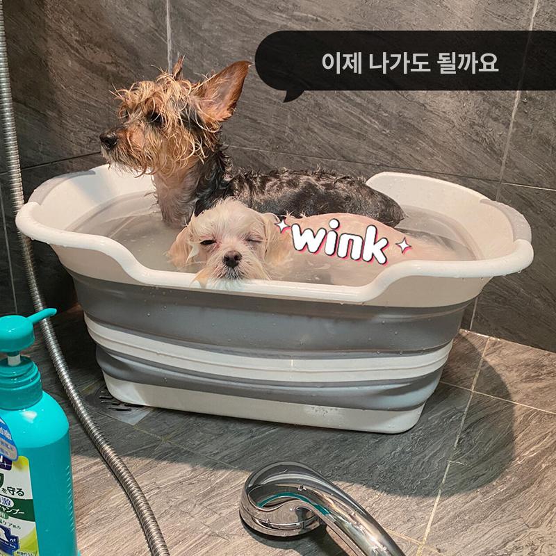 강아지 고양이 접이식 목욕통 소형 반려견 목욕 욕조 블루 접이식 욕조 46 x 30.3 x 20.4cm - 상세 이미지 2