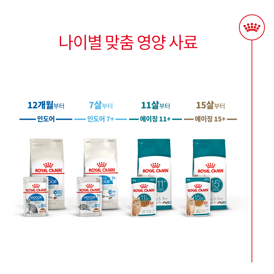 로얄캐닌 캣 에이징 11+ 젤리, 85g, 12개 이미지 7