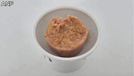 ANF 고양이 캔 습식 간식캔 참치연어, 95g, 1개 - 상세 이미지 3