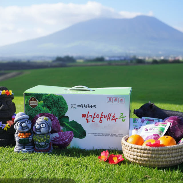 청룡농원 제주산 빨간 양배추즙 적색 110ml x 75포 (자색, 적)