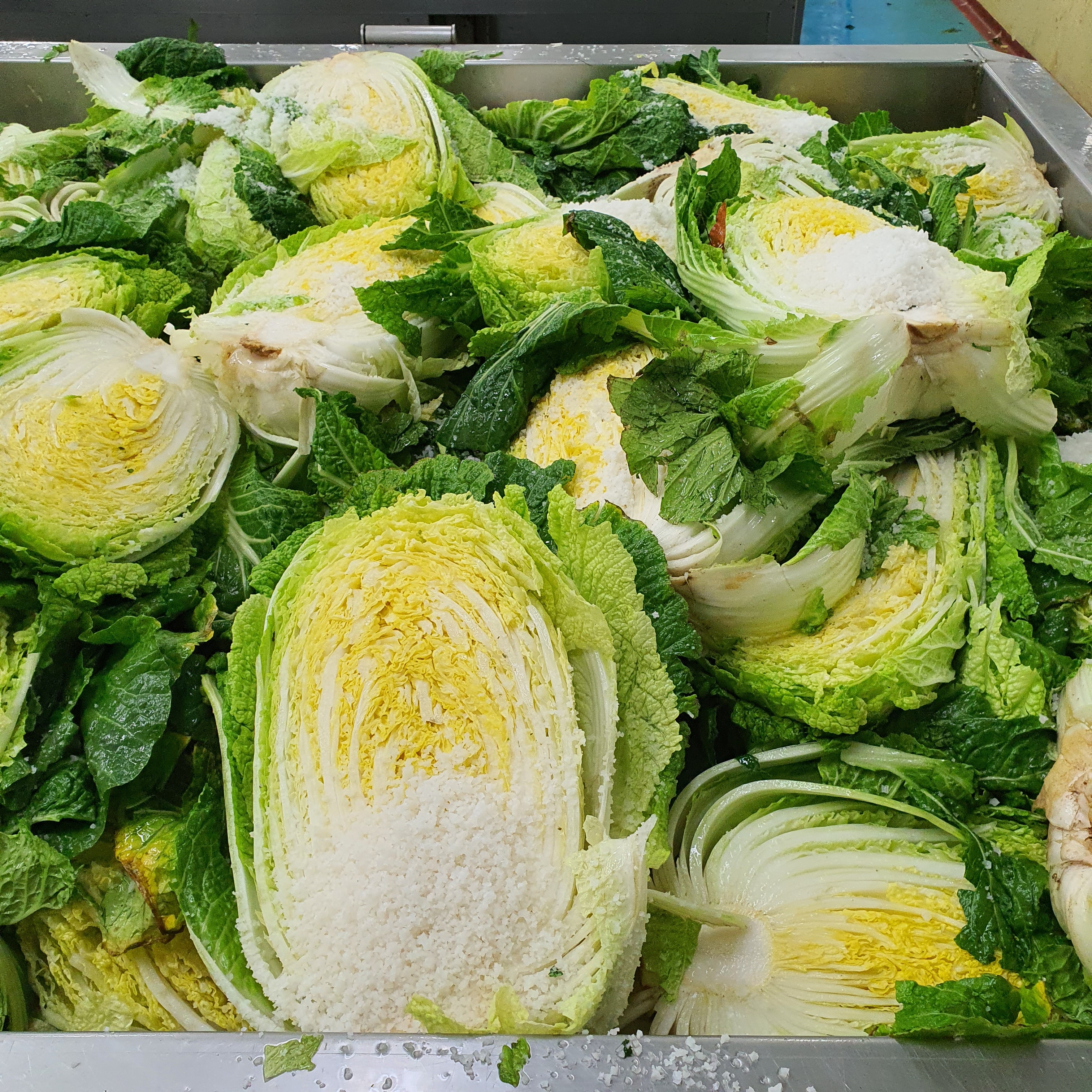 맛있는 경상도식 저염 배추김치 국내산 주문 시 즉시 생산 (포기/ 맛김치) - 상세 이미지 3