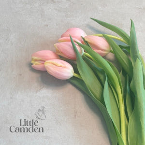 리틀캠든 튤립 생화 부케 생화배송 꽃배달 솔직 후기 | 실사용자 리뷰 분석 - 상품 이미지 3