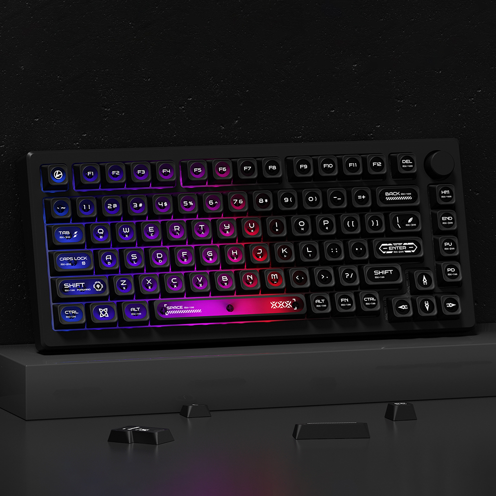 캣츠아이 블랙 반투명 한글 키캡 PBT CHERRY 기계식키보드 호환 키캡 136키 이미지 6