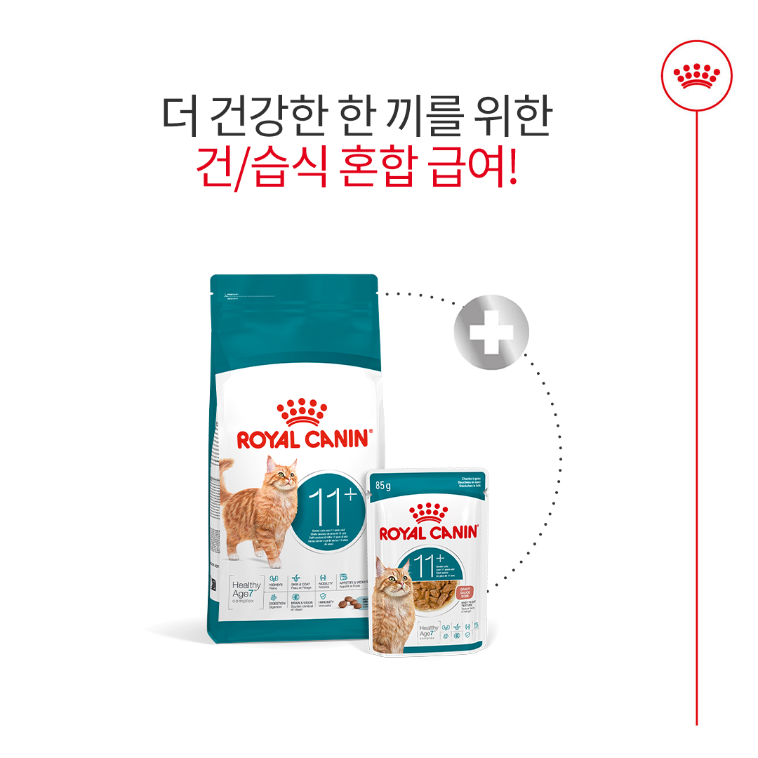 로얄캐닌 캣 에이징 11+ 그레이비, 85g, 12개 이미지 6