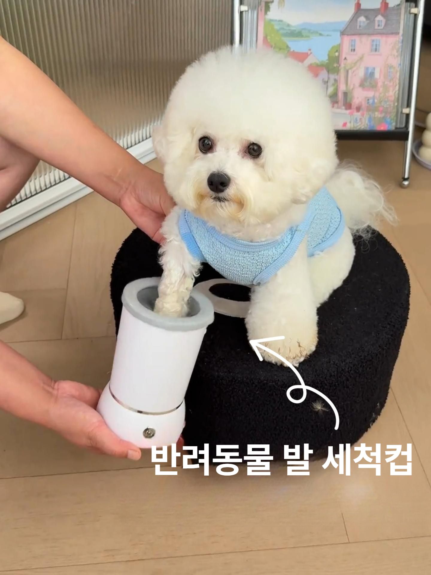 발세정기 대형견 소형견 고양이 발세정 컵 전동 발 세정기 - 상세 이미지 2