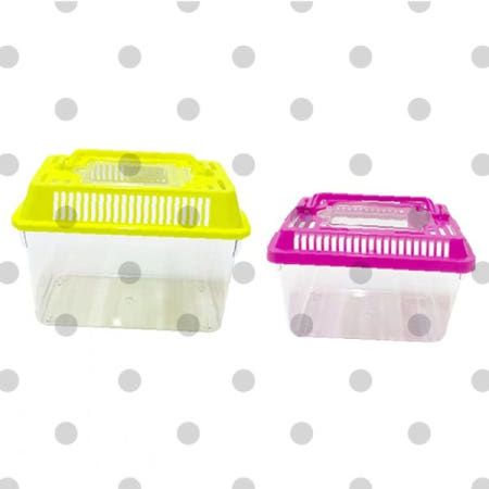 곤충 채집 관찰 케이스 투명 보관통 어항 다슬기