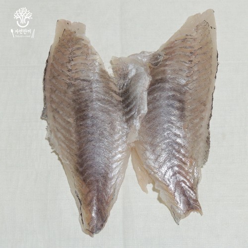 삼천포 해녀횟집 활 광어회 한마리 필렛 이미지 6