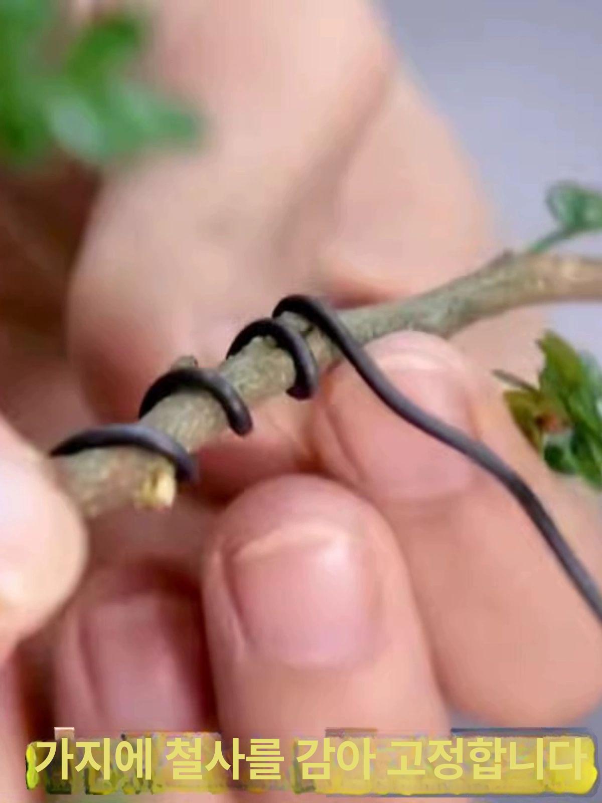 분재용철사 분재철사 공예 블랙 와이어 소나무 수형 연질 구리색 1.5mm 알루미늄 1kg 약 100m - 상세 이미지 3